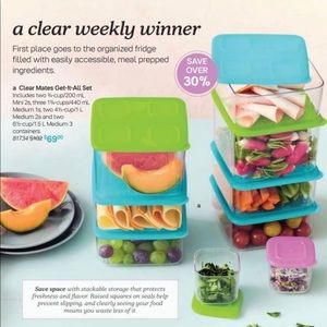 Tupperware clear mates get it all set